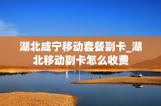 湖北咸宁移动套餐副卡_湖北移动副卡怎么收费