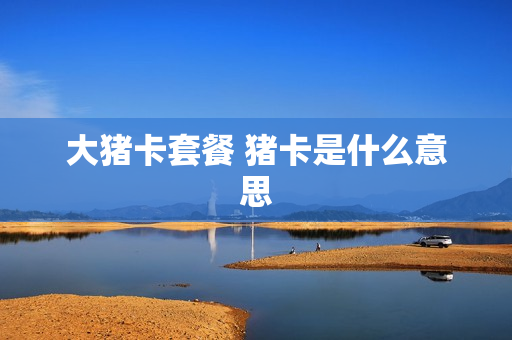 大猪卡套餐 猪卡是什么意思