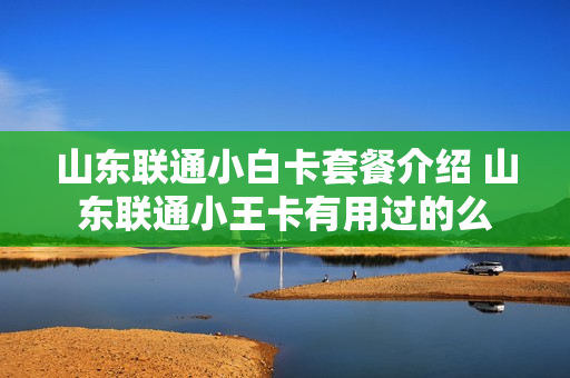 山东联通小白卡套餐介绍 山东联通小王卡有用过的么