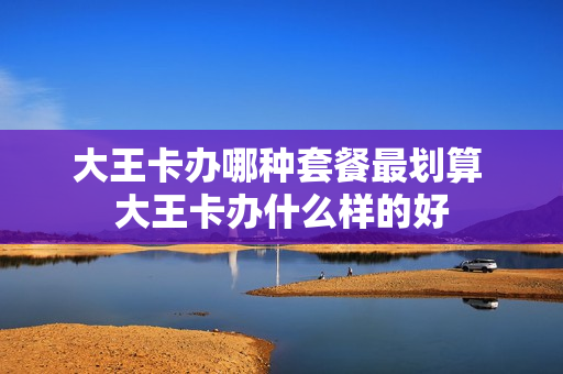 大王卡办哪种套餐最划算 大王卡办什么样的好