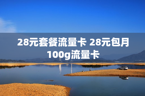 28元套餐流量卡 28元包月100g流量卡
