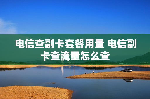 电信查副卡套餐用量 电信副卡查流量怎么查