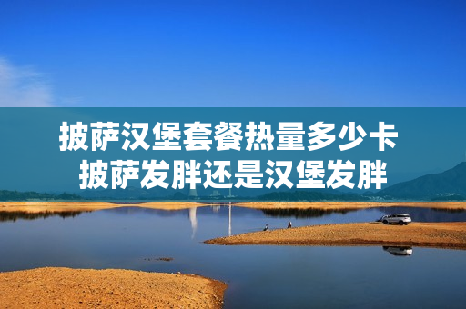 披萨汉堡套餐热量多少卡 披萨发胖还是汉堡发胖