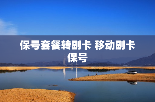保号套餐转副卡 移动副卡保号