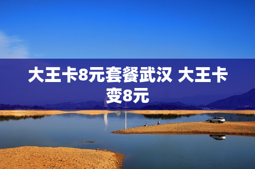 大王卡8元套餐武汉 大王卡变8元