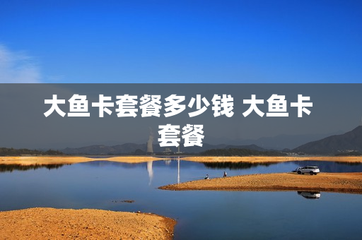 大鱼卡套餐多少钱 大鱼卡 套餐
