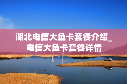 湖北电信大鱼卡套餐介绍_电信大鱼卡套餐详情