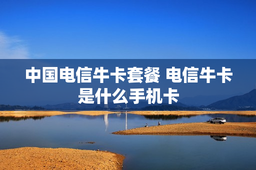 中国电信牛卡套餐 电信牛卡是什么手机卡