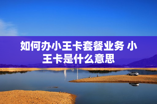 如何办小王卡套餐业务 小王卡是什么意思