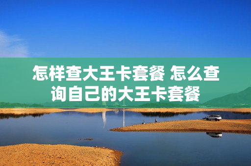 怎样查大王卡套餐 怎么查询自己的大王卡套餐