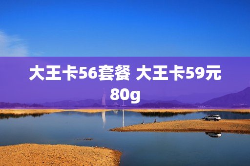 大王卡56套餐 大王卡59元80g