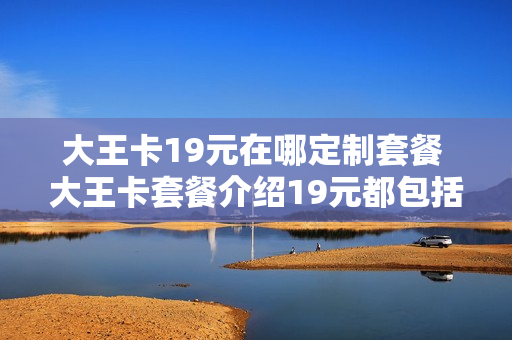 大王卡19元在哪定制套餐 大王卡套餐介绍19元都包括什么