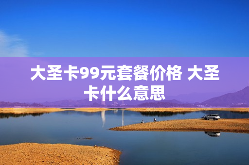 大圣卡99元套餐价格 大圣卡什么意思