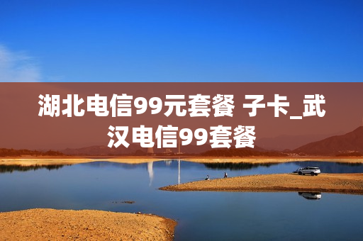 湖北电信99元套餐 子卡_武汉电信99套餐