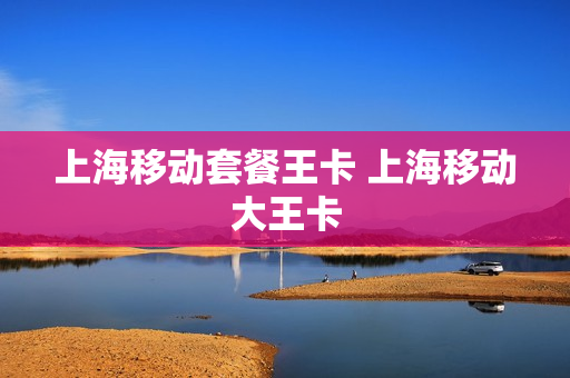 上海移动套餐王卡 上海移动大王卡