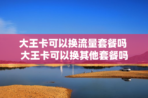 大王卡可以换流量套餐吗 大王卡可以换其他套餐吗