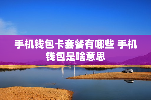 手机钱包卡套餐有哪些 手机钱包是啥意思