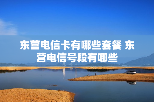 东营电信卡有哪些套餐 东营电信号段有哪些