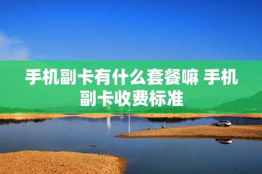 手机副卡有什么套餐嘛 手机副卡收费标准