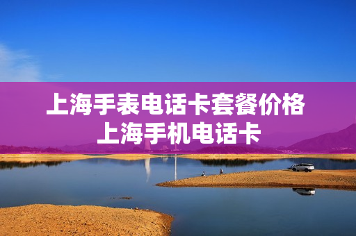 上海手表电话卡套餐价格 上海手机电话卡