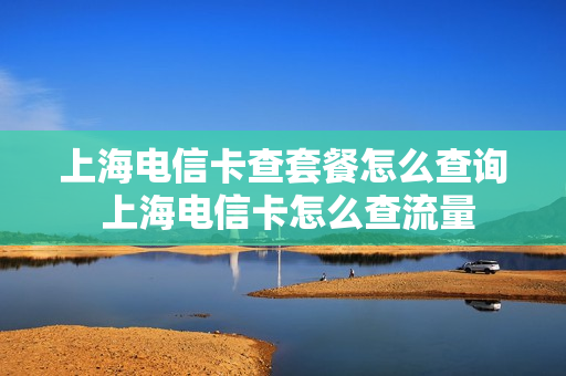 上海电信卡查套餐怎么查询 上海电信卡怎么查流量