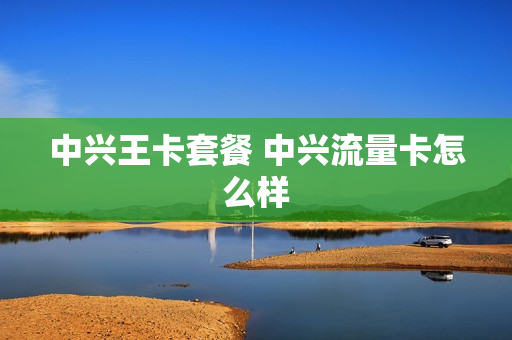 中兴王卡套餐 中兴流量卡怎么样
