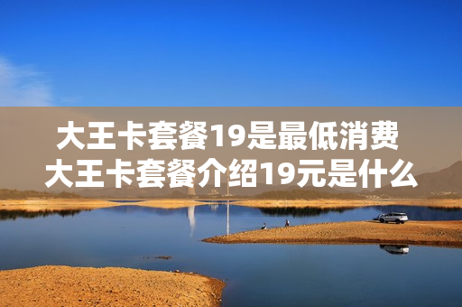 大王卡套餐19是最低消费 大王卡套餐介绍19元是什么意思