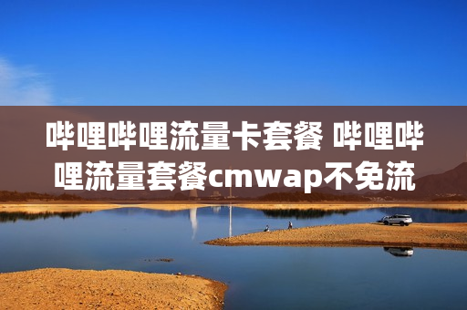 哔哩哔哩流量卡套餐 哔哩哔哩流量套餐cmwap不免流什么意思