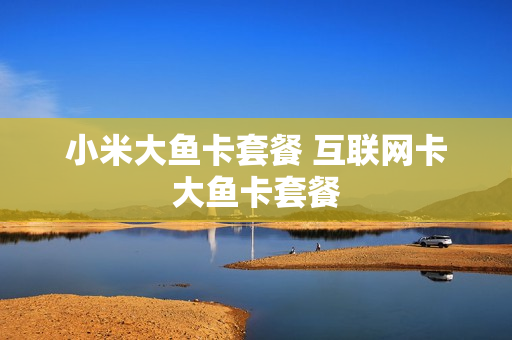 小米大鱼卡套餐 互联网卡大鱼卡套餐