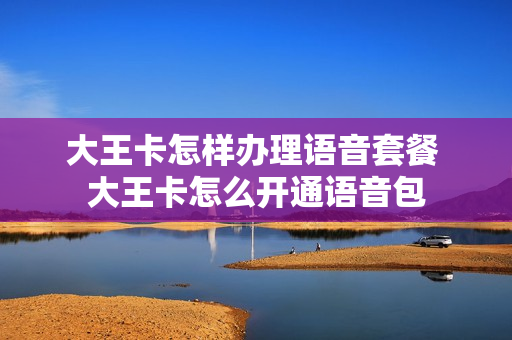 大王卡怎样办理语音套餐 大王卡怎么开通语音包