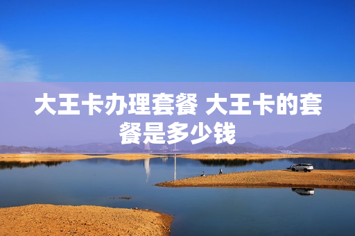 大王卡办理套餐 大王卡的套餐是多少钱