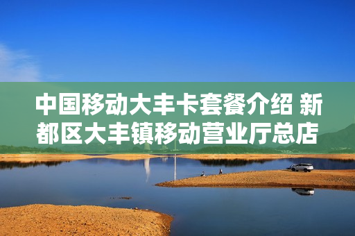 中国移动大丰卡套餐介绍 新都区大丰镇移动营业厅总店