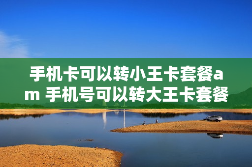 手机卡可以转小王卡套餐am 手机号可以转大王卡套餐