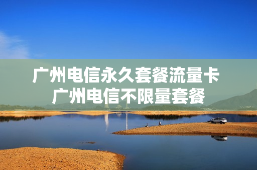广州电信永久套餐流量卡 广州电信不限量套餐