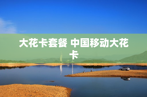 大花卡套餐 中国移动大花卡