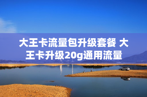 大王卡流量包升级套餐 大王卡升级20g通用流量
