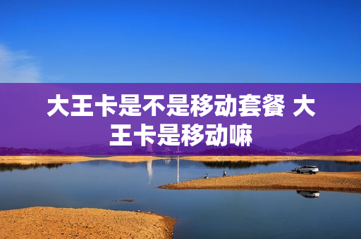 大王卡是不是移动套餐 大王卡是移动嘛