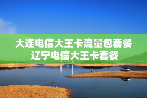 大连电信大王卡流量包套餐 辽宁电信大王卡套餐