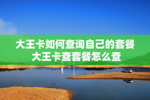 大王卡如何查询自己的套餐 大王卡查套餐怎么查