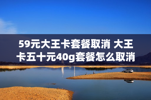 59元大王卡套餐取消 大王卡五十元40g套餐怎么取消