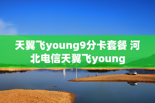 天翼飞young9分卡套餐 河北电信天翼飞young