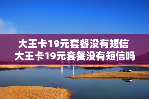 大王卡19元套餐没有短信 大王卡19元套餐没有短信吗