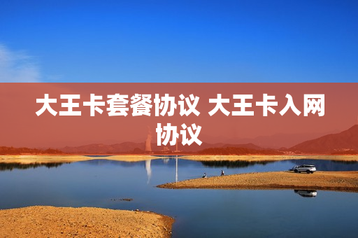 大王卡套餐协议 大王卡入网协议