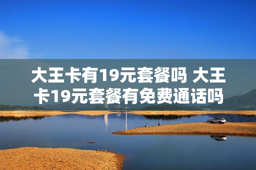 大王卡有19元套餐吗 大王卡19元套餐有免费通话吗