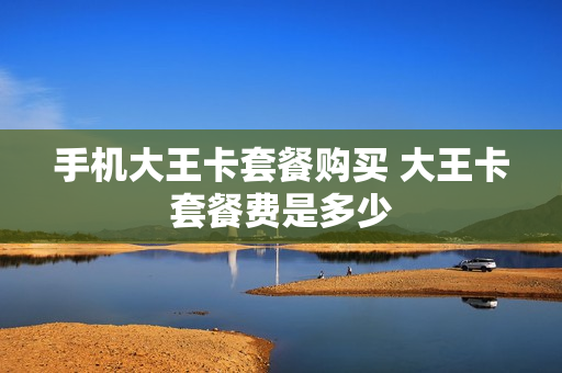 手机大王卡套餐购买 大王卡套餐费是多少