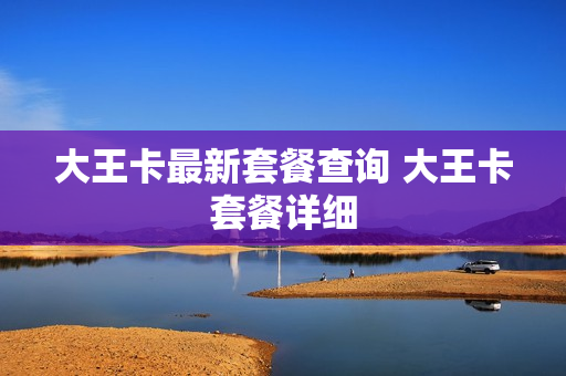 大王卡最新套餐查询 大王卡套餐详细