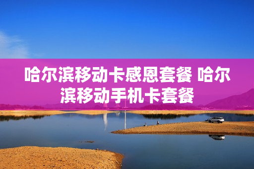 哈尔滨移动卡感恩套餐 哈尔滨移动手机卡套餐