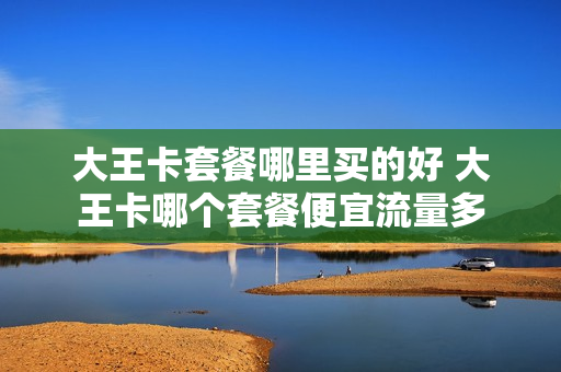 大王卡套餐哪里买的好 大王卡哪个套餐便宜流量多
