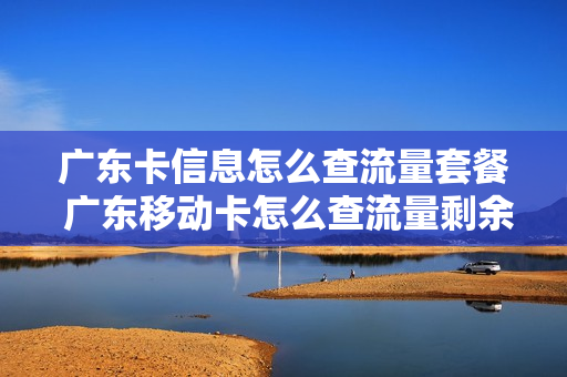广东卡信息怎么查流量套餐 广东移动卡怎么查流量剩余