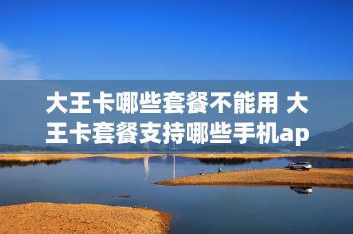 大王卡哪些套餐不能用 大王卡套餐支持哪些手机app